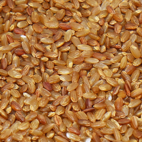 국산 유기농 갈색 가바쌀 가바현미 2kg 4kg,직송,가바쌀,가바현미,가바현미쌀,유기농가바현미